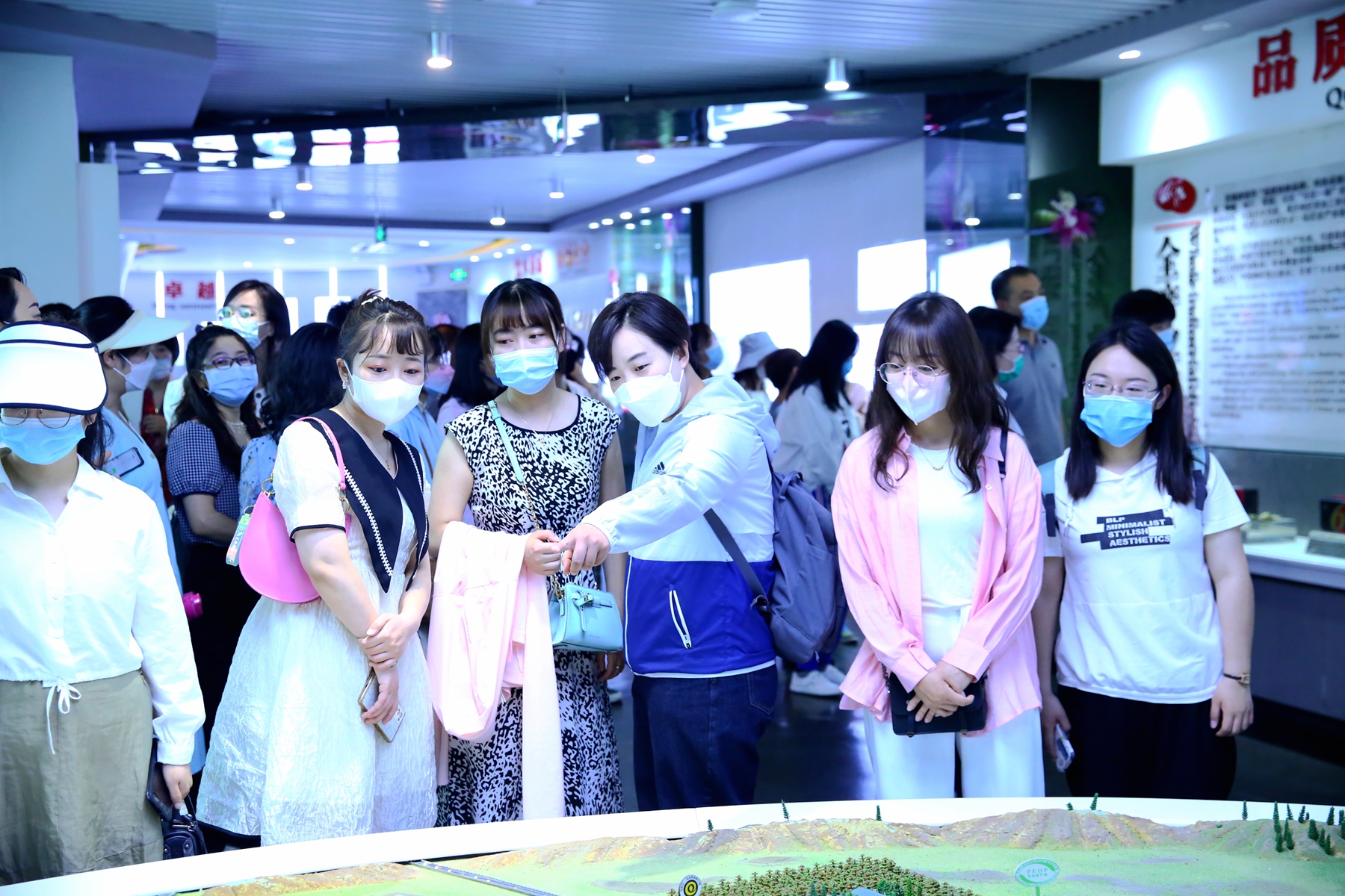 1657026629954007.jpg 1.jpg