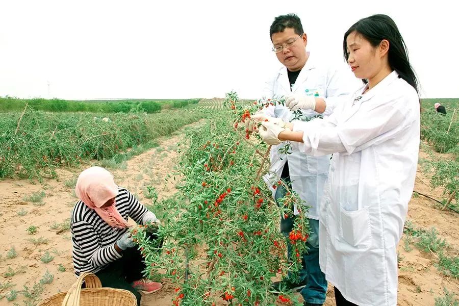 1702882680187198.jpg 640.jpg