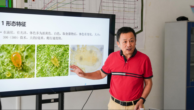 1758507002125542.png image.png