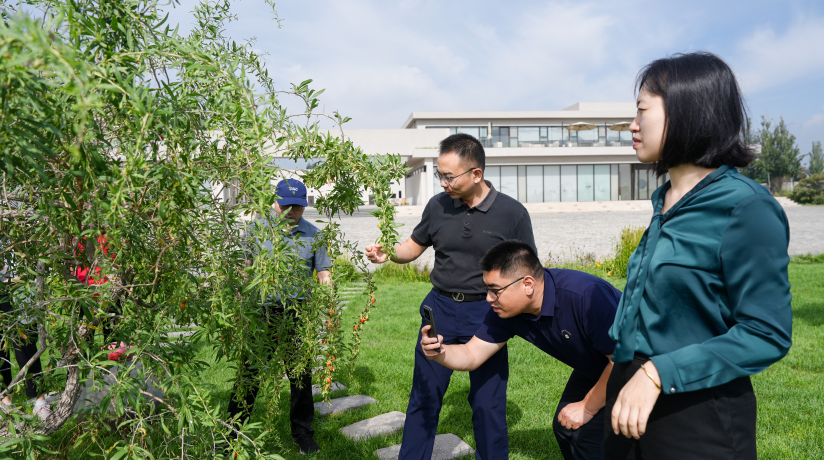 1758507401471063.png image.png