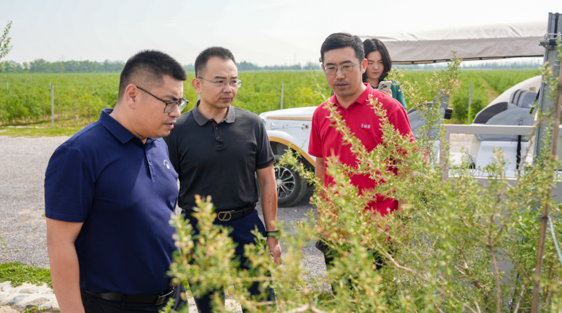 1758507443551840.png image.png