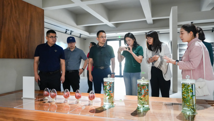 1758507472553585.png image.png